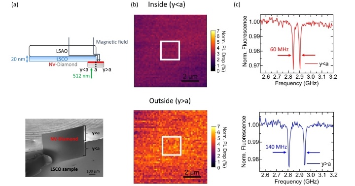 All-optical and microwave-free detection of Meissner screening using nitrogen-vacancy centers in diamond