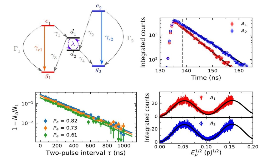 Highlight: High-accuracy investigations on the spin-optical dynamics and quantum efficiency of the V1 center in silicon carbide