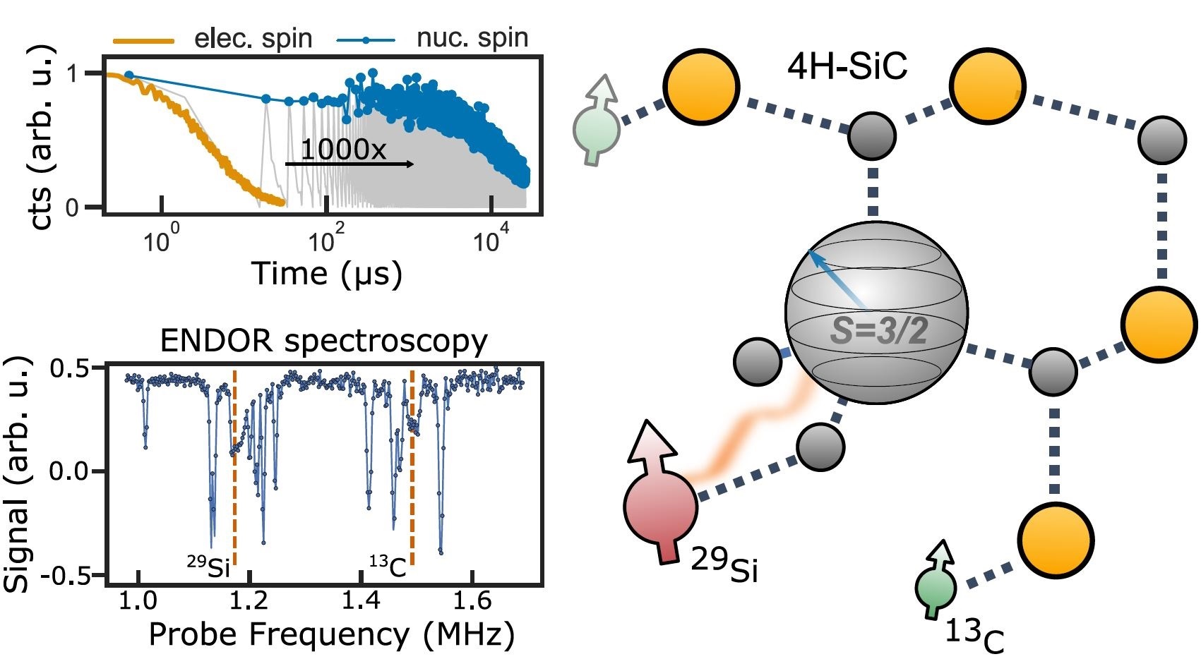 Highlight: High-Fidelity Optical Readout of a Nuclear-Spin Qubit in Silicon Carbide