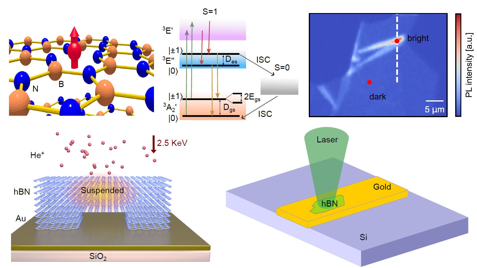 Highlight: Deformation-Driven Enhancement of Spin Defect Emission in Hexagonal Boron Nitride